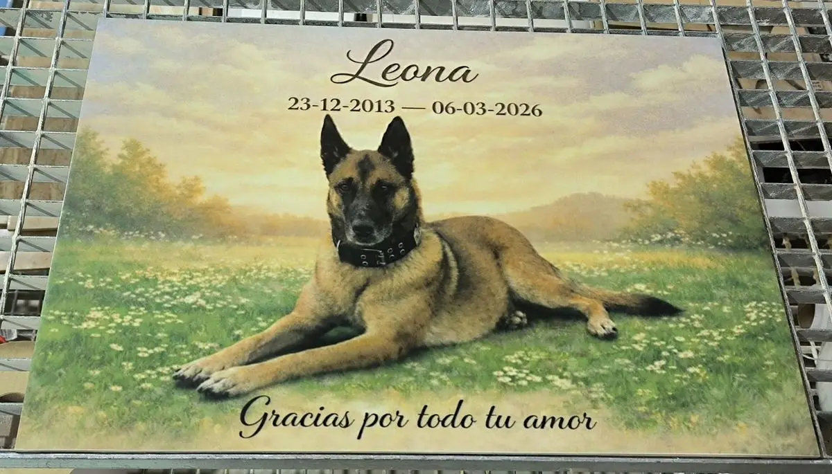 Placa cerámica en recuerdo de una perra, con su retrato en un prado, nombre y fechas